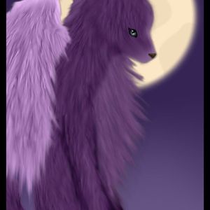 Meet your Posher, Terry